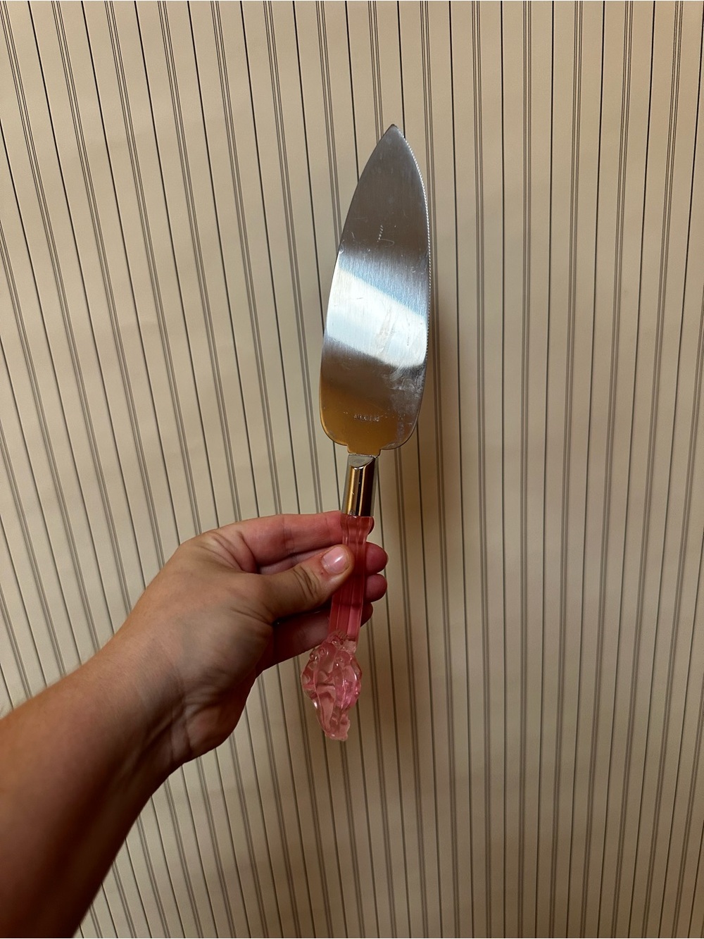 Disney Princess Aurora Pink Handle Cake Server stainless steel
